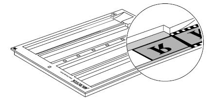 ArtixScan F2掃描儀底片放置方法推薦_img_9.jpg
